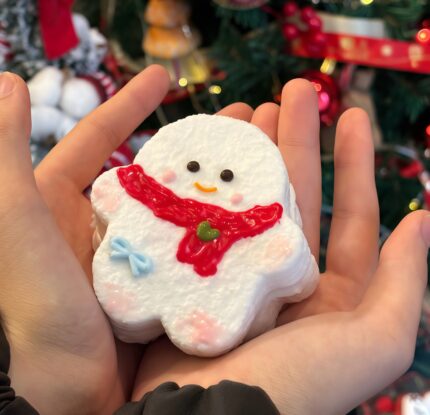 Gingerbread Man Taba Squishy Toy